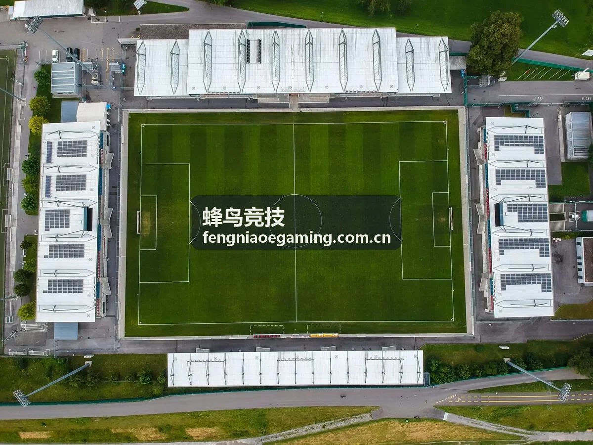 蜂鸟竞技电竞赛事战队夜鹰战队标志